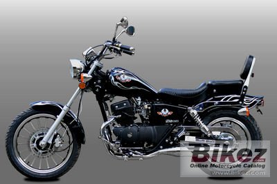 2010 AJS Regal-Raptor DD125 MK2 photo